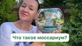 картинка: Какие бывают моссариумы. Из чего делаются. Моссариум-перевертыш по закрепленной технологии.