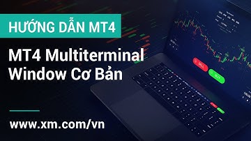 XM.COM - Hướng Dẫn MT4 - MT4 Multiterminal Window - Cơ Bản