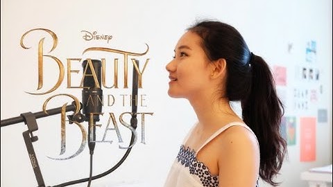 How Does a Moment Last Forever (Beauty and the Beast cover)
