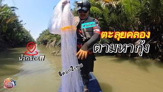 หากุ้งคลองนํ้ากร่อย