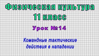 Физическая Культура 11 Класс (Урок№14 - Командные Тактические Действия В Нападении.)