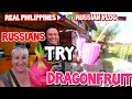 RUSSIANS TRYING DRAGONFRUITS IN CEBU, PHILIPPINES / OUR FAVORITE PLACE NEAR LILOAN