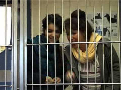 Battersea Dogs Home Old Windsor Volunteer Battersea Dogs Home Old Windsor Volunteer