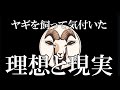 ヤギさんに除草してもらってで楽するはずが…現実は甘くなかった理想と現実!