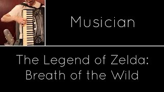 Video-Miniaturansicht von „Kass' Theme (Musician) - The Legend of Zelda: Breath of the Wild [Acoustic]“