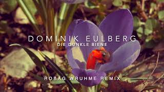 DIE DUNKLE BIENE - Dominik Eulberg (Robag Wruhme Remix)