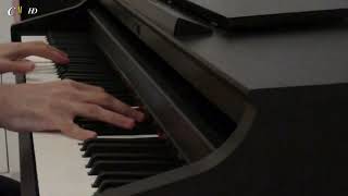 Richard Clayderman - Une Folle Envie D'aimer (Piano Cover)