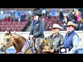 2017 AQHA Junior Working Cow Horse