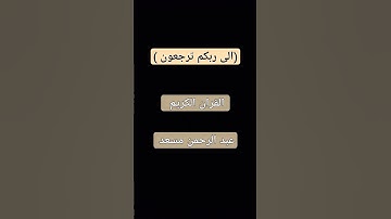 احترم القران #عبدالرحمن_مسعد #explore  تلاوه هادئه❤️🦋