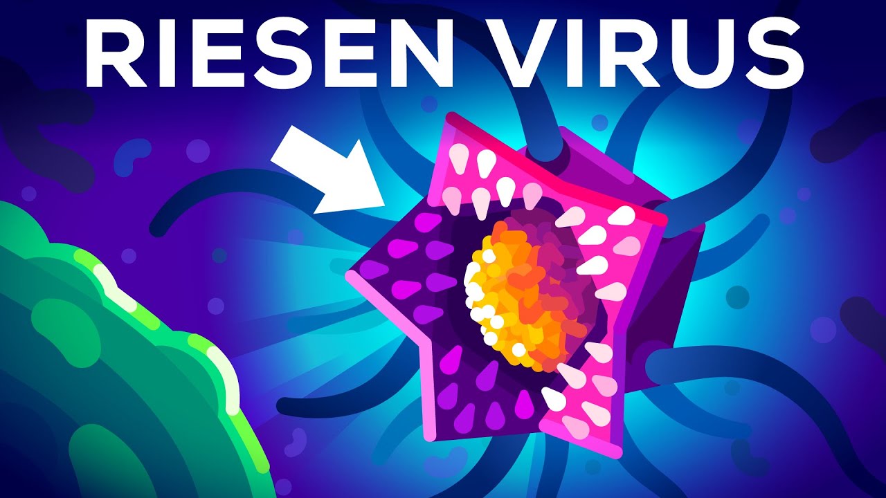 Viren und Bakterien - was uns krank machen kann Grundschulfilm Biologie