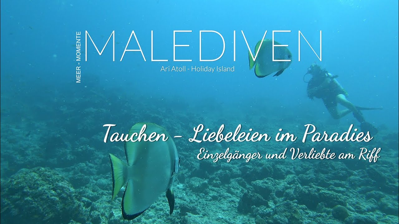 Malediven - Tauchen /Diving Liebeleien am Riff mit Einzelgängern und Verliebten Oktopus Drückerfisch