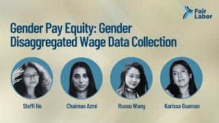 Gender Disaggregated Wage Data Collection