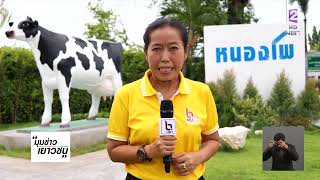 ช่วง 'มุมข่าว..เยาวชน' สหกรณ์โคนมหนองโพราชบุรีฯ ผลิตน้ำนมดี ข่าวค่ำ วันที่ 24 กรกฎาคม 2566 #NBT2HD