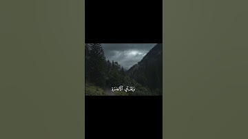 ما تيسر من سورة الروم للقارئ : ياسر الدوسري