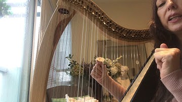 harp Lesson 2 Canon in D