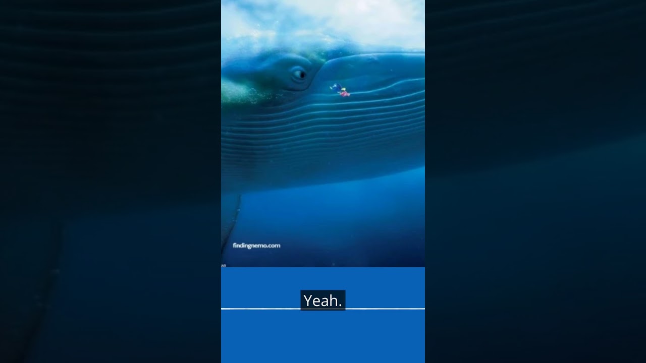 Patreon Preview: Finding Nemo