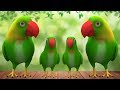 ★2 HOURS★ Chitti Chilakamma and More Telugu Rhymes - 3D Animation Rhymes & Baby Songs For Children