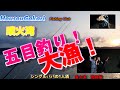 【北海道】　太平洋　アナゴ　カレイ　サバ　噴火湾　五目釣り　爆釣　シングルパパの１人酒　噴火湾激闘編