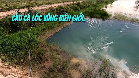 Câu cá lóc vùng biên giới (P1).MaRen ngày nước kém.Thợ săn cá lóc.