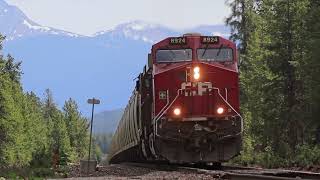 Banff Trains (Railfanning)