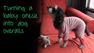 The list of 22 how to make small baby clothes fit a small dog
