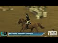 Blue Chip Show Jumping Championships - Day 2 - Joshua Jones UK Discovery Championship
