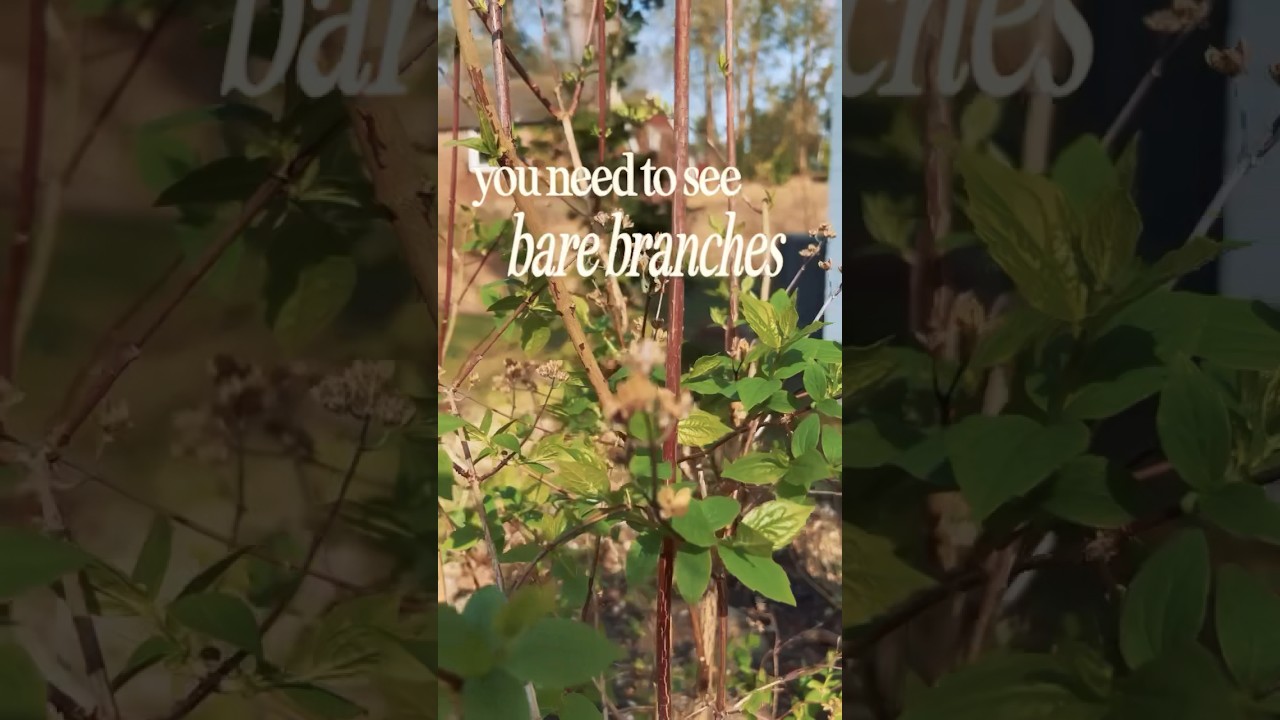 Words to live by, Monty Don nature garden spring quotes 