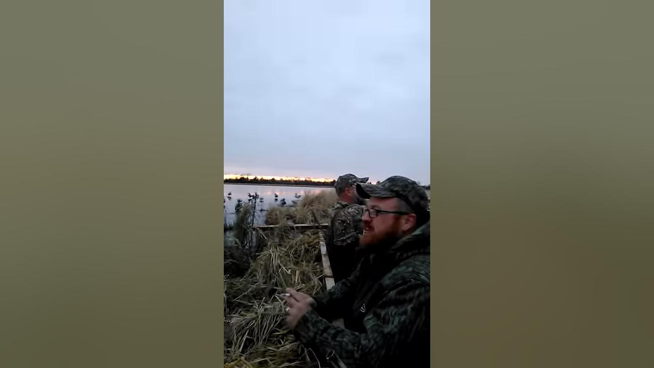 Duck Hunting Missouri! YouTube