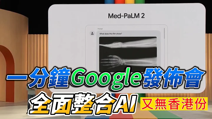 谷歌即將主宰AI技術！超越ChatGPT 4的PaLM 2大語言模型和全新進化的BARD聊天機器人,但又無香港份 - 天天要聞