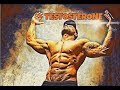 Augmenter sa testostrone le zinc 30 jours 30 conseils pour booster sa testostrone