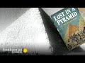 Egyptian Culture and Mummy Literature