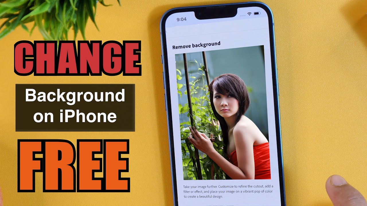 How to Change Background Photo of Any Picture on iPhone FREE? (Erase
