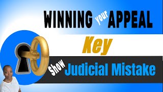Pro Se! Write Your Appellate Brief With The Court Order In Mind. Mirror the Order!