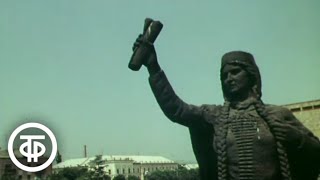 :  -.   (1981)