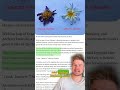 Etsy "Blue Lotus" Scams EXPOSED!?