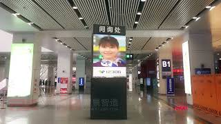 PJ LINK Customized LED Product #LedDisplay #CreativeLED #KineticScreen #Customized#PJLINK