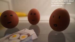 The Fridge Story - Stop motion short film