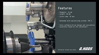 Multigrind® Customer Care: Focus on Globoid Worm Gear.