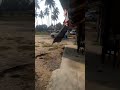 9/8/2025 Sabtu Bunyi Ombak