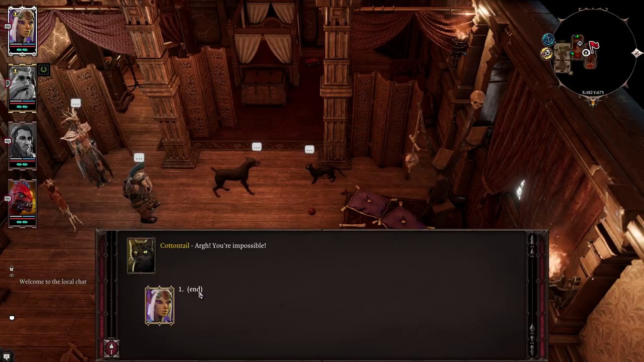 Divinity Original Sin 2 Cat vs Dog YouTube