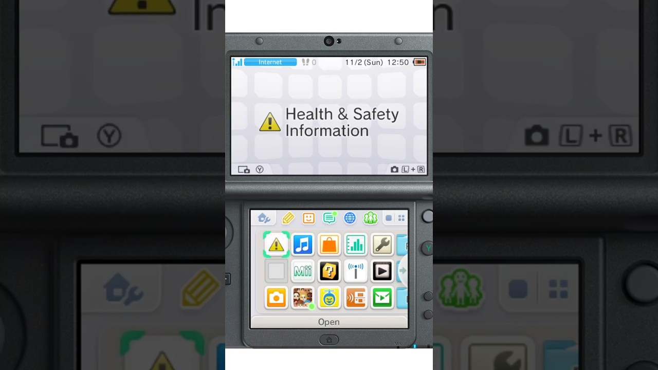 Health and Safety Information (3DS) - Lost in Obscurity