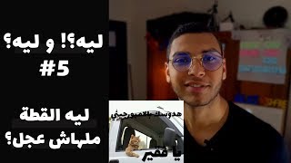 ليه القطة ملهاش عجل ؟ - سلسلة ليه؟وليه؟ الحلقة 5 رمضان 2019