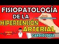 FISIOPATOLOGÍA DE LA HIPERTENSIÓN ARTERIAL HARRISON RESUMEN 📝👨🏻‍⚕️