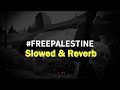 La Voce Della Magana Rajawi palestini Slowed And Reverb
