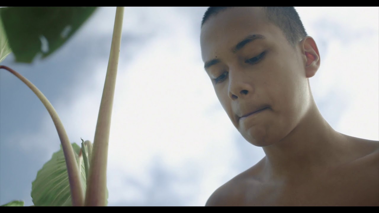 Pōhaku Kuʻi ʻAi, Part 1