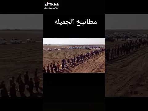 أمارة قيس عيلان جيس قبيلة الجميلة سوريا الرقه