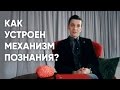 Как устроено человеческое познание?