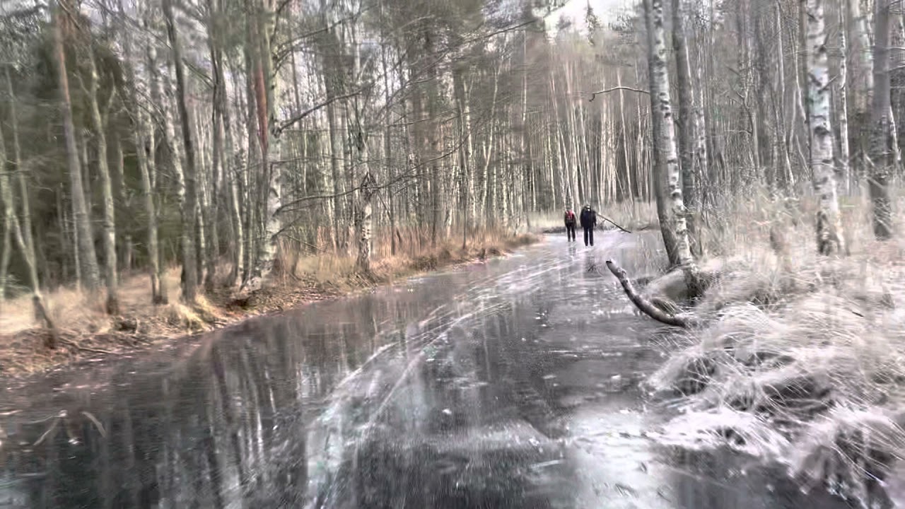 Gammelån -Vikasjön