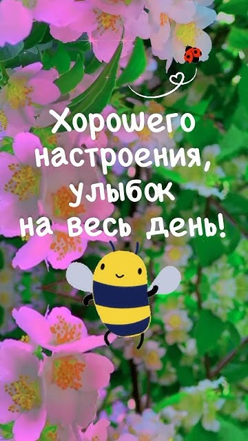 Доброе утро! Пожелания Хорошего дня! Музыкальная открытка!#доброеутро # ...