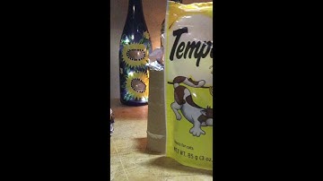 How to make a D.I.Y. cat puzzle